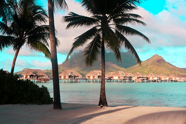 PPT destination